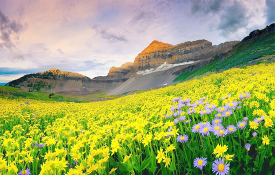 badrinath-with-valley-of-flower-package